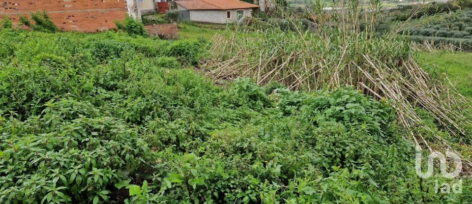 Terreno em Porto de Mós - São João Baptista e São Pedro de 2 172 m²