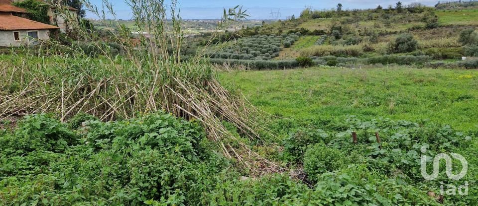 Terreno em Porto de Mós - São João Baptista e São Pedro de 2 172 m²