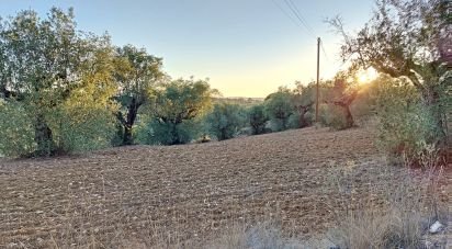 Terrain à Carregueiros de 10 500 m²