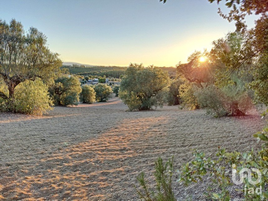 Terreno em Carregueiros de 10 500 m²