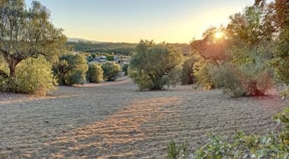 Terrain à Carregueiros de 10 500 m²