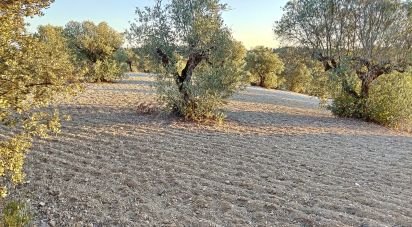 Terrain à Carregueiros de 10 500 m²