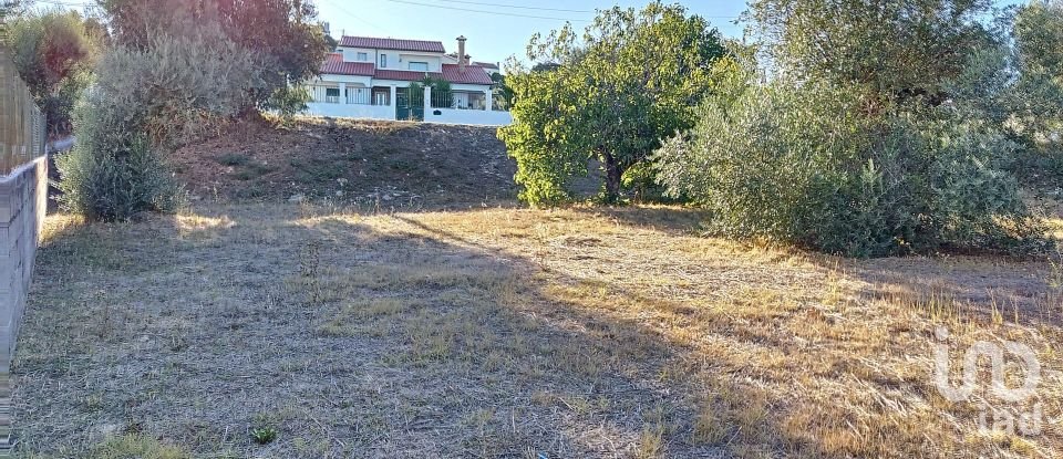Land in Carregueiros of 10,500 m²