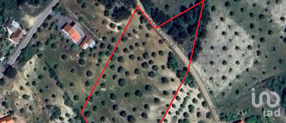 Terreno em Carregueiros de 10 500 m²