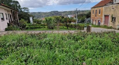 Terrain à Porto de Mós - São João Baptista e São Pedro de 1 120 m²