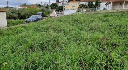 Terrain à Porto de Mós - São João Baptista e São Pedro de 1 120 m²
