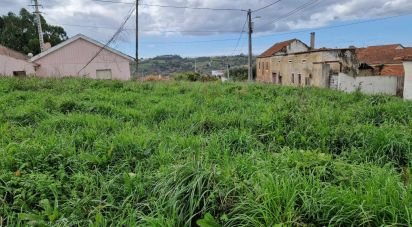 Terrain à Porto de Mós - São João Baptista e São Pedro de 1 120 m²