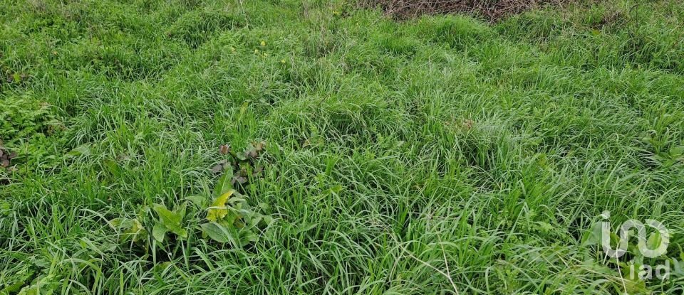 Terreno em Porto de Mós - São João Baptista e São Pedro de 1 120 m²