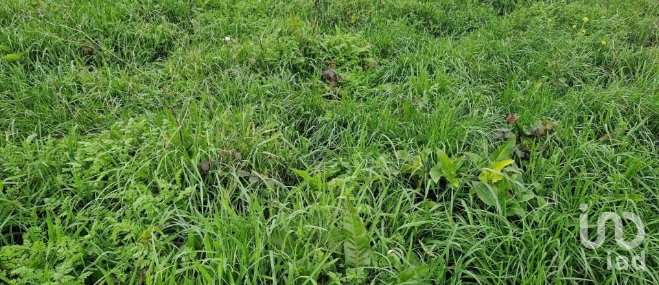 Terreno em Porto de Mós - São João Baptista e São Pedro de 1 120 m²