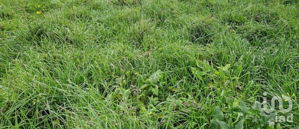 Terreno em Porto de Mós - São João Baptista e São Pedro de 1 120 m²