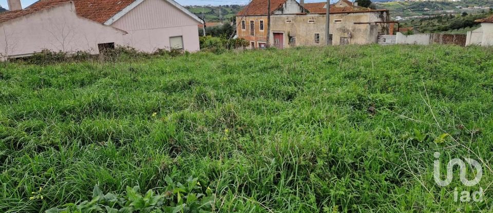 Terreno em Porto de Mós - São João Baptista e São Pedro de 1 120 m²