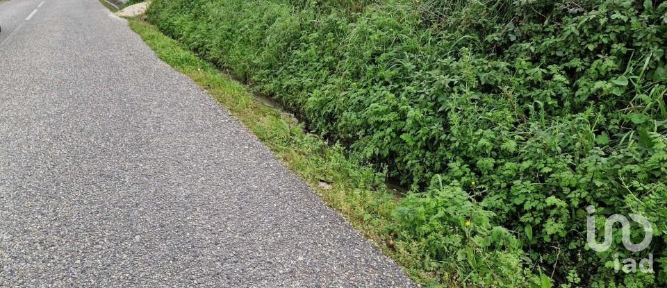 Terreno em Porto de Mós - São João Baptista e São Pedro de 1 120 m²