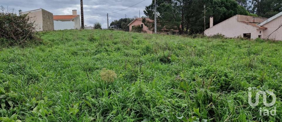 Terreno em Porto de Mós - São João Baptista e São Pedro de 1 120 m²