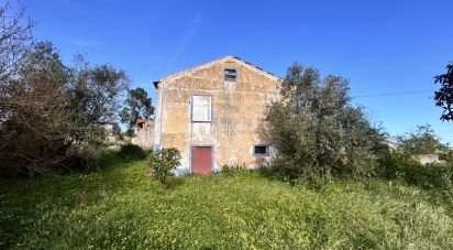 Maison T3 à Praia do Ribatejo de 117 m²