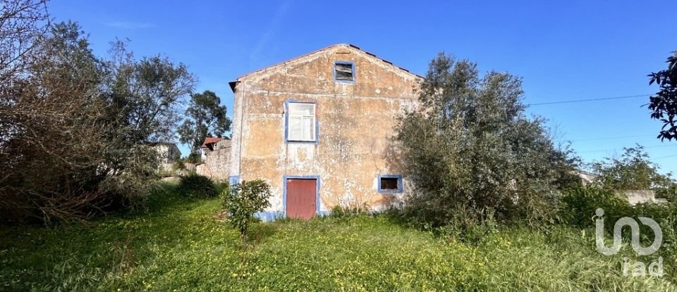 Moradia T3 em Praia do Ribatejo de 117 m²