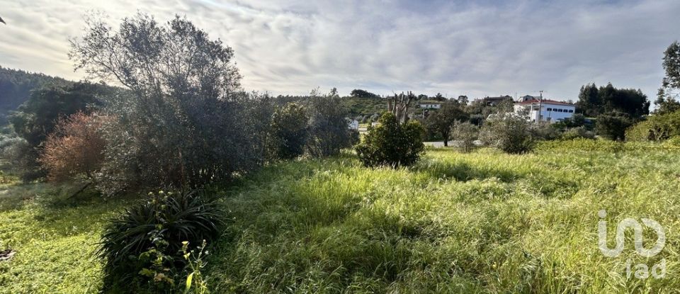 Moradia T3 em Praia do Ribatejo de 117 m²