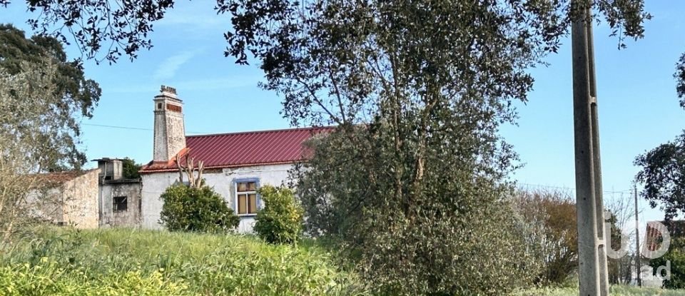 Moradia T3 em Praia do Ribatejo de 117 m²