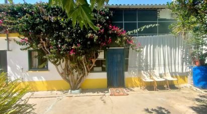 House T4 in Pó of 288 m²