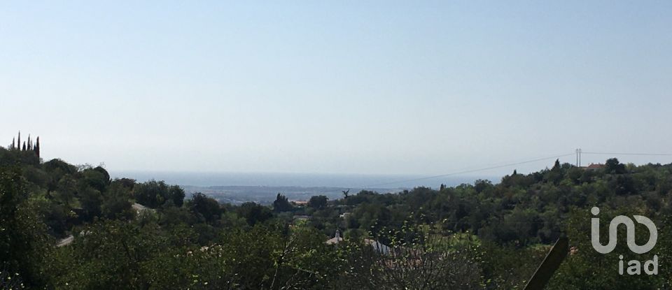 Maison rustique T4 à Boliqueime de 258 m²