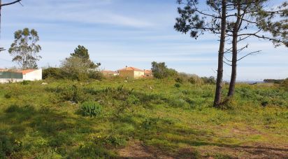 Farm land in Olho Marinho of 7,404 m²
