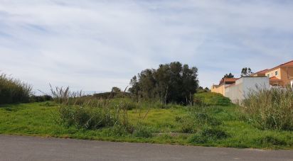 Agricultural land in Olho Marinho of 7,404 m²