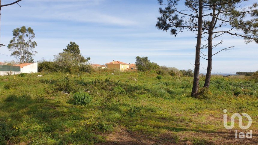 Terreno rústico em Olho Marinho de 7 404 m²