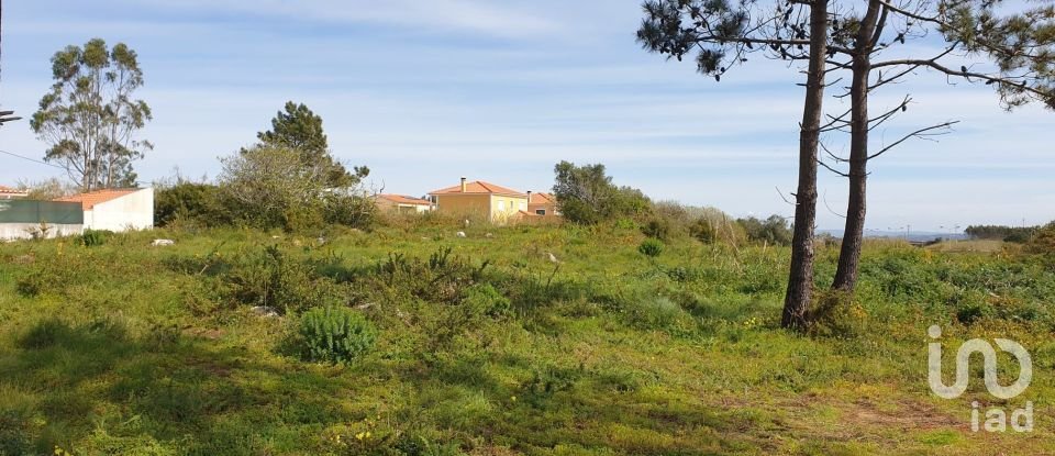 Agricultural land in Olho Marinho of 7,404 m²