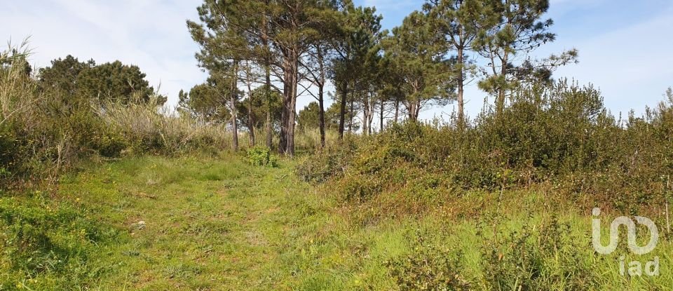 Terreno rústico em Olho Marinho de 7 404 m²