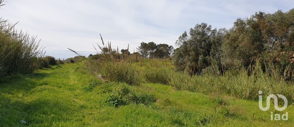 Terreno rústico em Olho Marinho de 7 404 m²