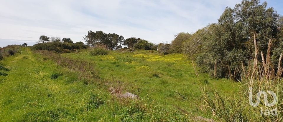 Terreno rústico em Olho Marinho de 7 404 m²