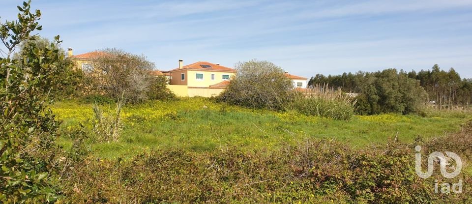 Terreno rústico em Olho Marinho de 7 404 m²