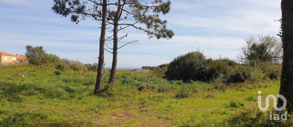 Terreno rústico em Olho Marinho de 7 404 m²
