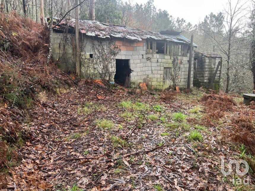 Terrain à São Félix de 4 600 m²