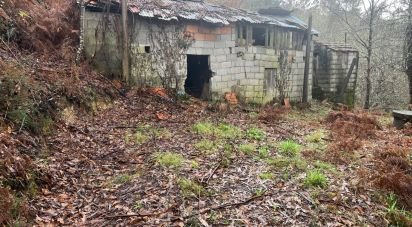 Terrain à São Félix de 4 600 m²