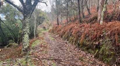 Terrain à São Félix de 4 600 m²