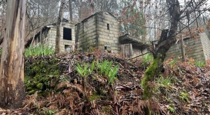 Terrain à São Félix de 4 600 m²