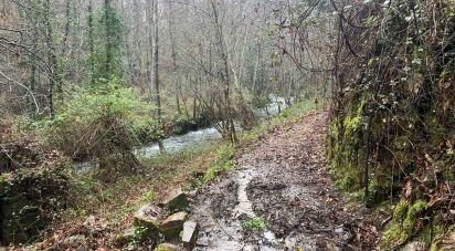 Terrain à São Félix de 4 600 m²