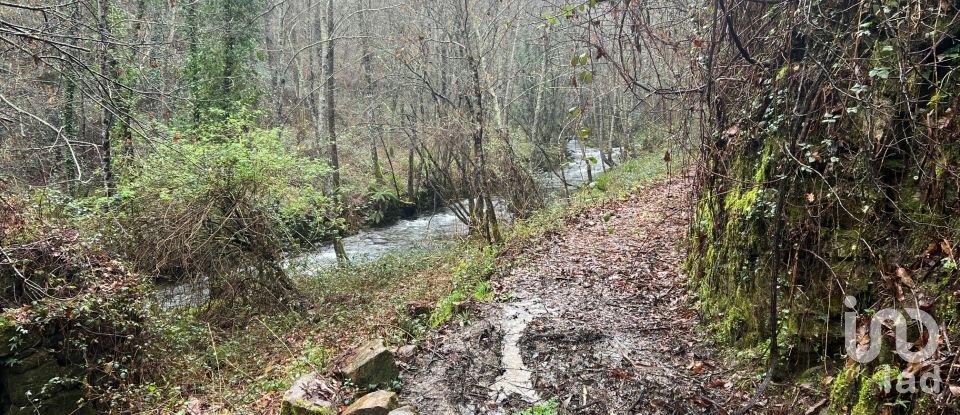 Terrain à São Félix de 4 600 m²