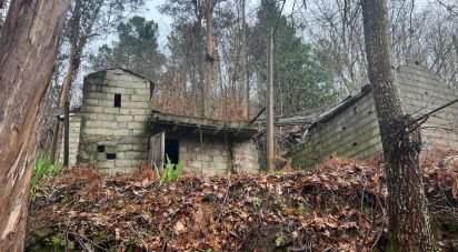 Terrain à São Félix de 4 600 m²