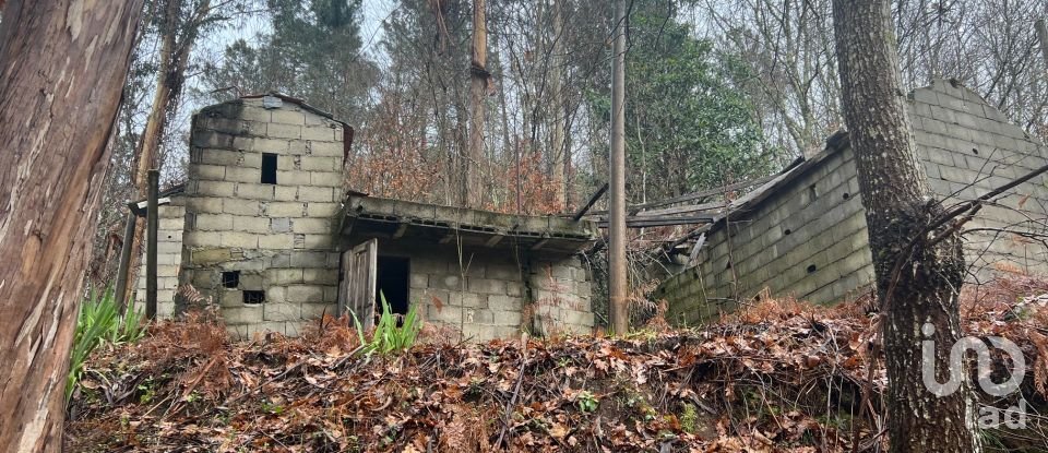 Terrain à São Félix de 4 600 m²