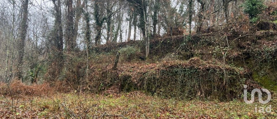Terrain à São Félix de 4 600 m²