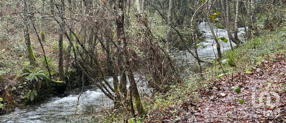 Terrain à São Félix de 4 600 m²