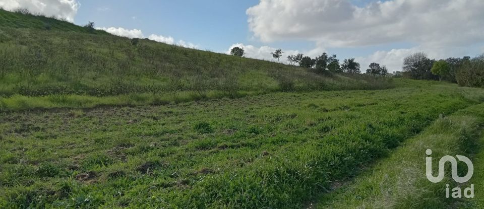 Terreno em São João da Ribeira e Ribeira de São João de 18 204 m²