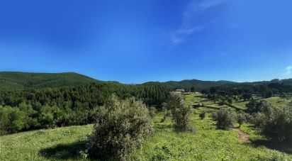 Maison rustique T4 à Nossa Senhora do Pranto de 250 m²