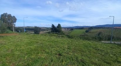 Terrain à Cadaval e Pêro Moniz de 180 m²