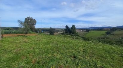 Terrain à Cadaval e Pêro Moniz de 180 m²