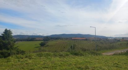 Terrain à Cadaval e Pêro Moniz de 180 m²