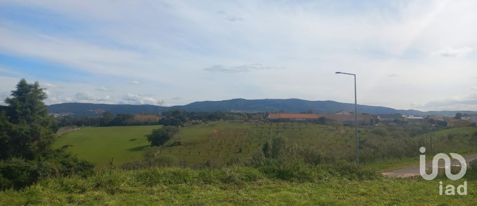 Terrain à Cadaval e Pêro Moniz de 180 m²
