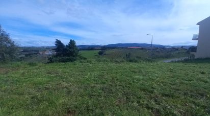 Terrain à Cadaval e Pêro Moniz de 180 m²