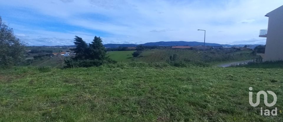 Terrain à Cadaval e Pêro Moniz de 180 m²